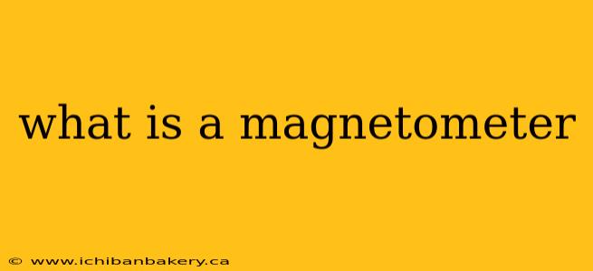 what is a magnetometer