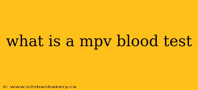 what is a mpv blood test