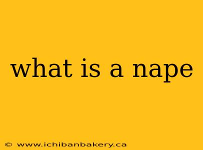 what is a nape