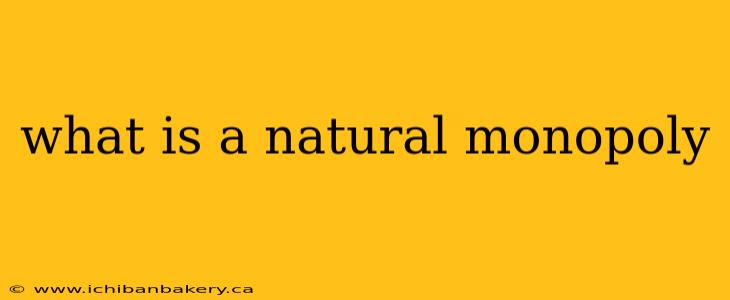 what is a natural monopoly