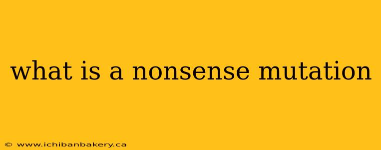 what is a nonsense mutation