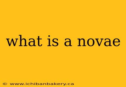 what is a novae