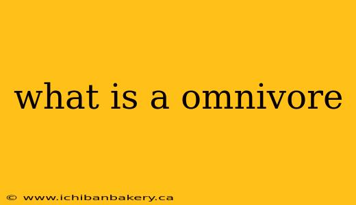 what is a omnivore