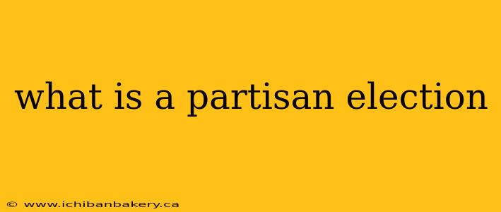 what is a partisan election