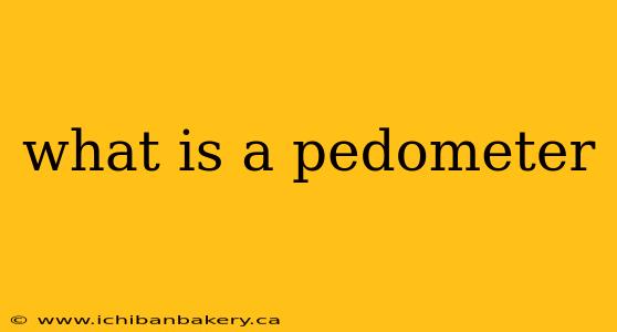 what is a pedometer