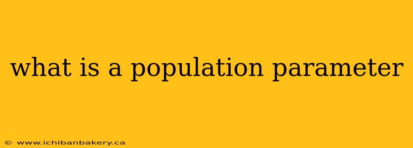 what is a population parameter
