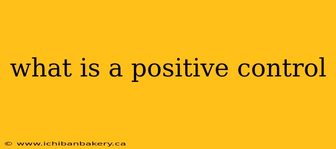 what is a positive control