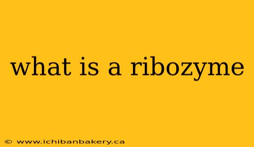 what is a ribozyme