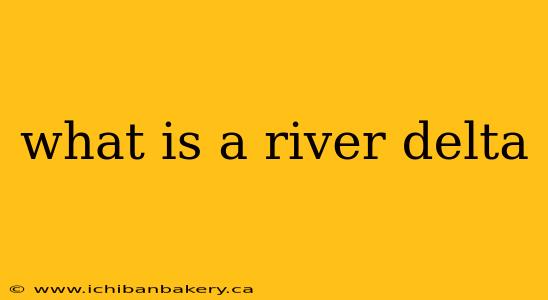 what is a river delta