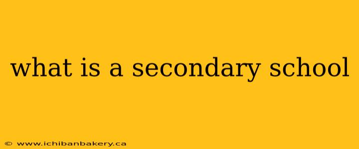 what is a secondary school