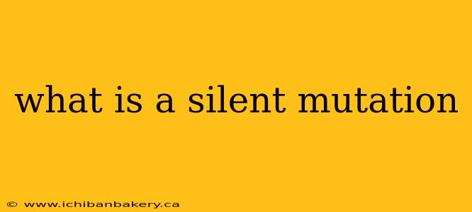 what is a silent mutation