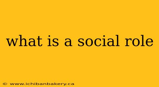 what is a social role