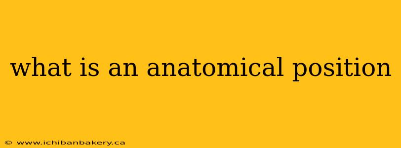 what is an anatomical position