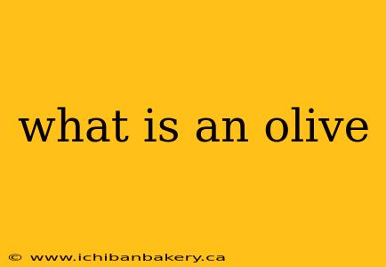 what is an olive
