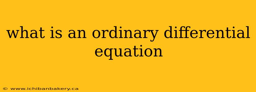 what is an ordinary differential equation