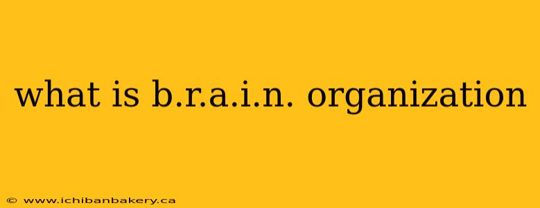 what is b.r.a.i.n. organization