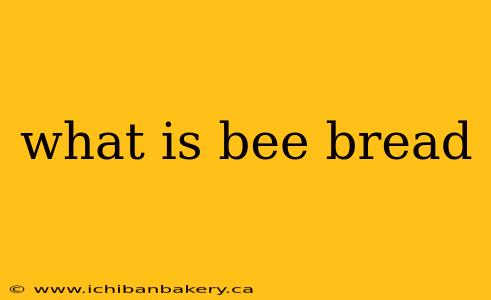 what is bee bread