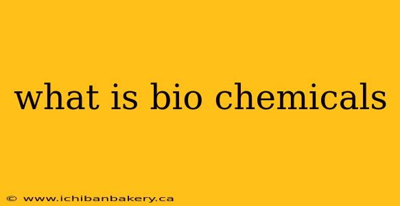 what is bio chemicals