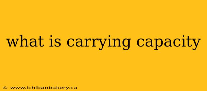 what is carrying capacity