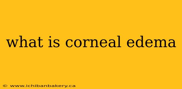 what is corneal edema