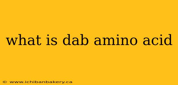 what is dab amino acid