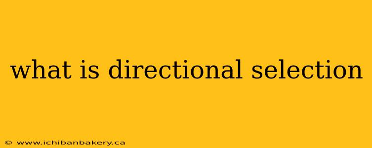 what is directional selection