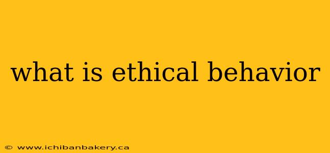what is ethical behavior
