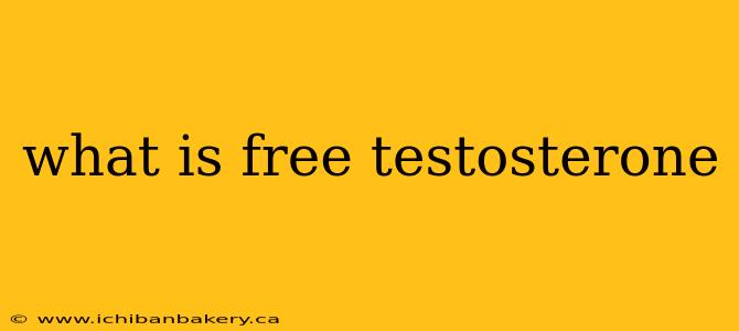 what is free testosterone