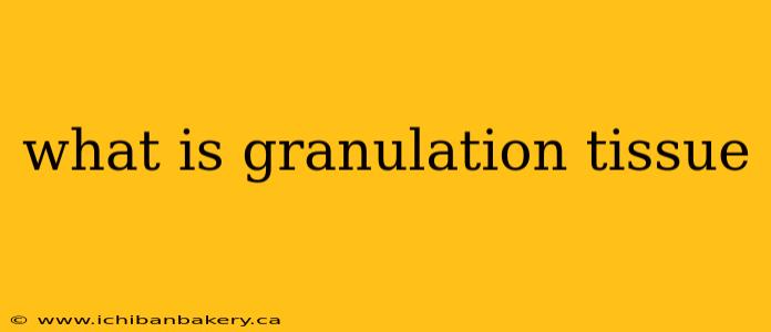 what is granulation tissue