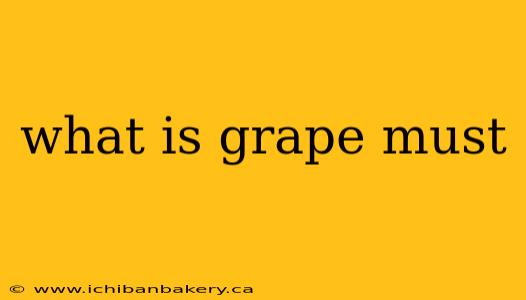 what is grape must