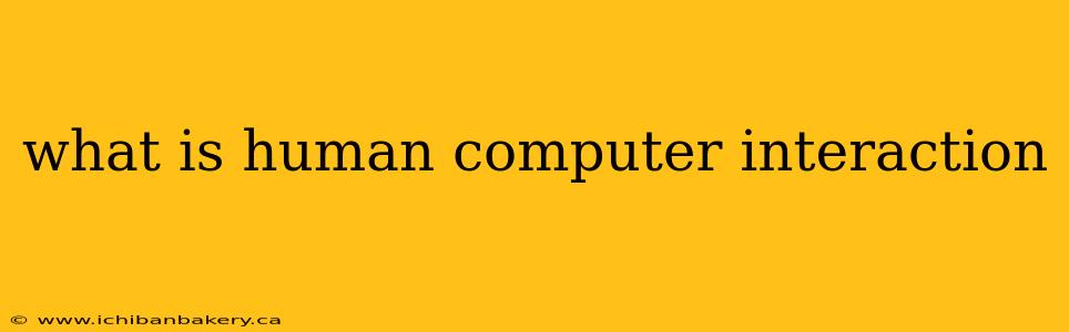 what is human computer interaction