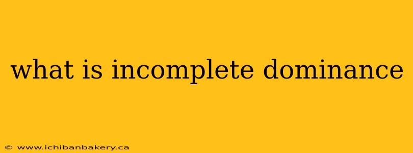 what is incomplete dominance