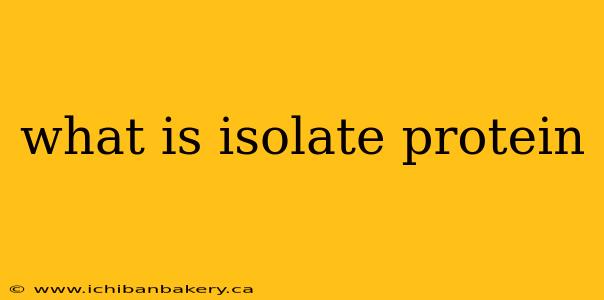 what is isolate protein