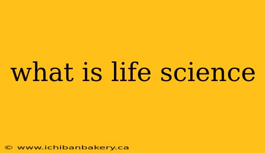 what is life science