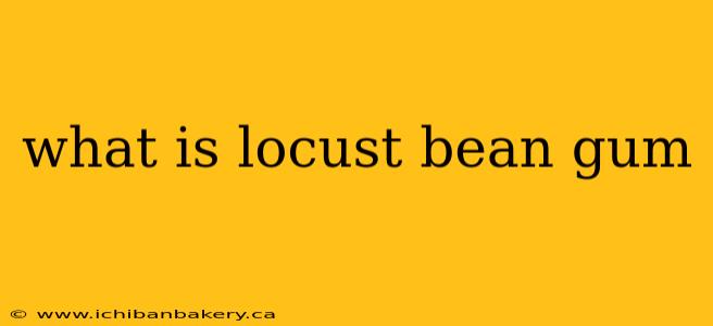 what is locust bean gum