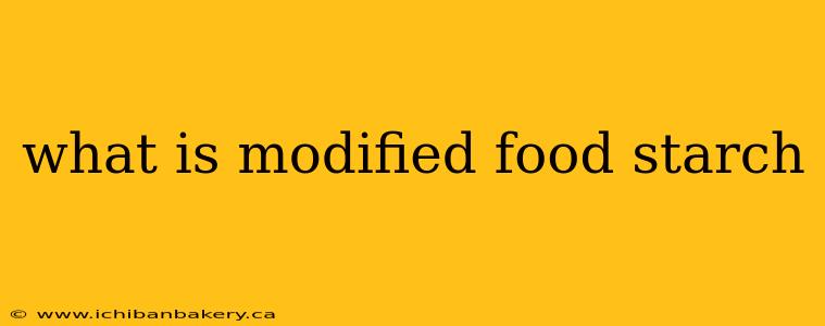what is modified food starch
