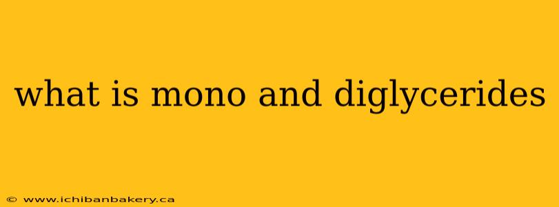 what is mono and diglycerides