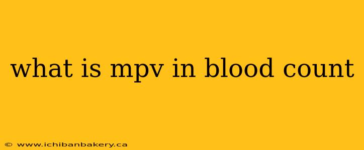 what is mpv in blood count