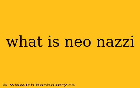 what is neo nazzi