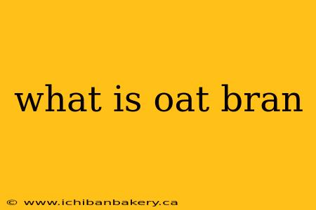 what is oat bran
