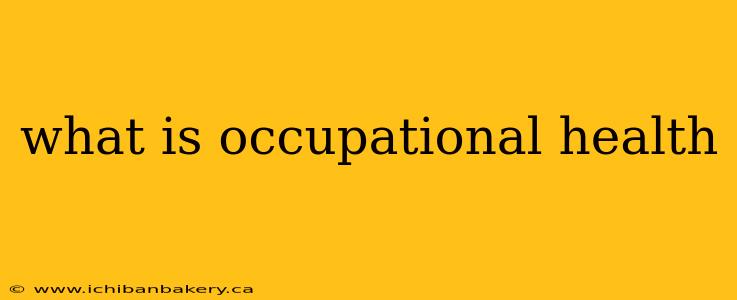 what is occupational health