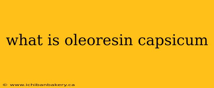 what is oleoresin capsicum