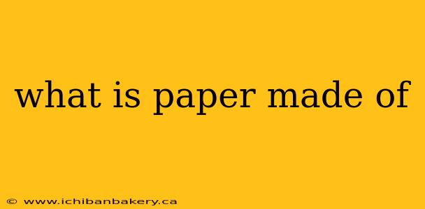 what is paper made of