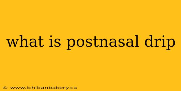 what is postnasal drip