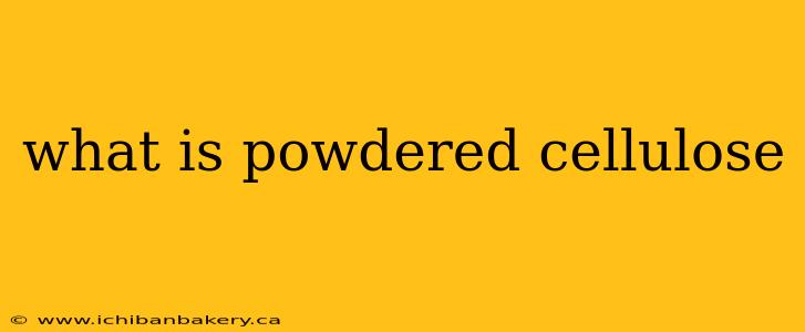 what is powdered cellulose