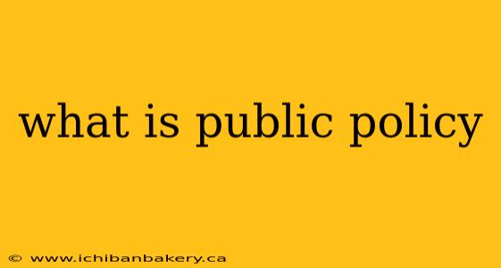 what is public policy