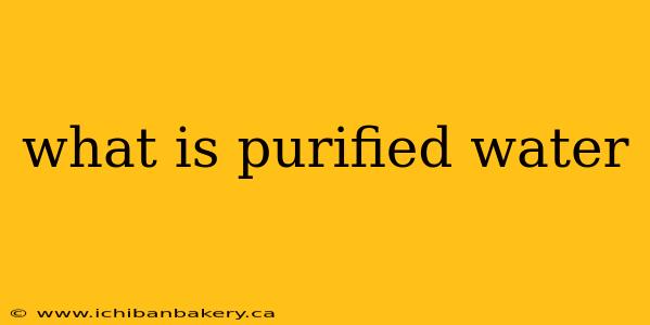 what is purified water