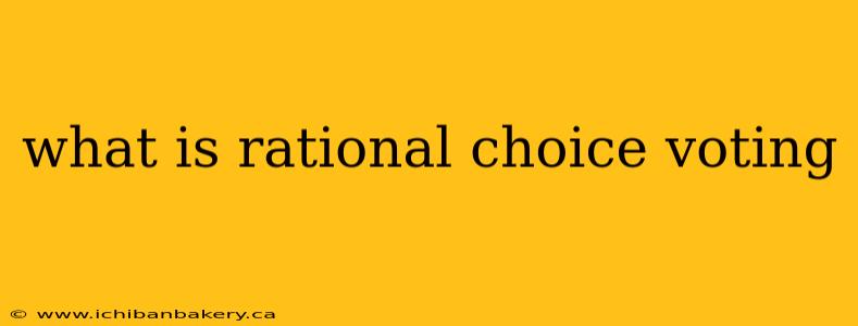 what is rational choice voting