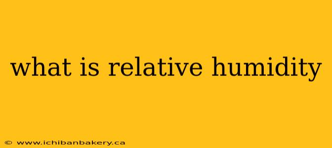 what is relative humidity