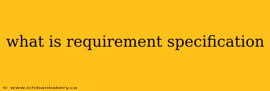 what is requirement specification